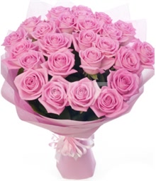 24 Pink Roses